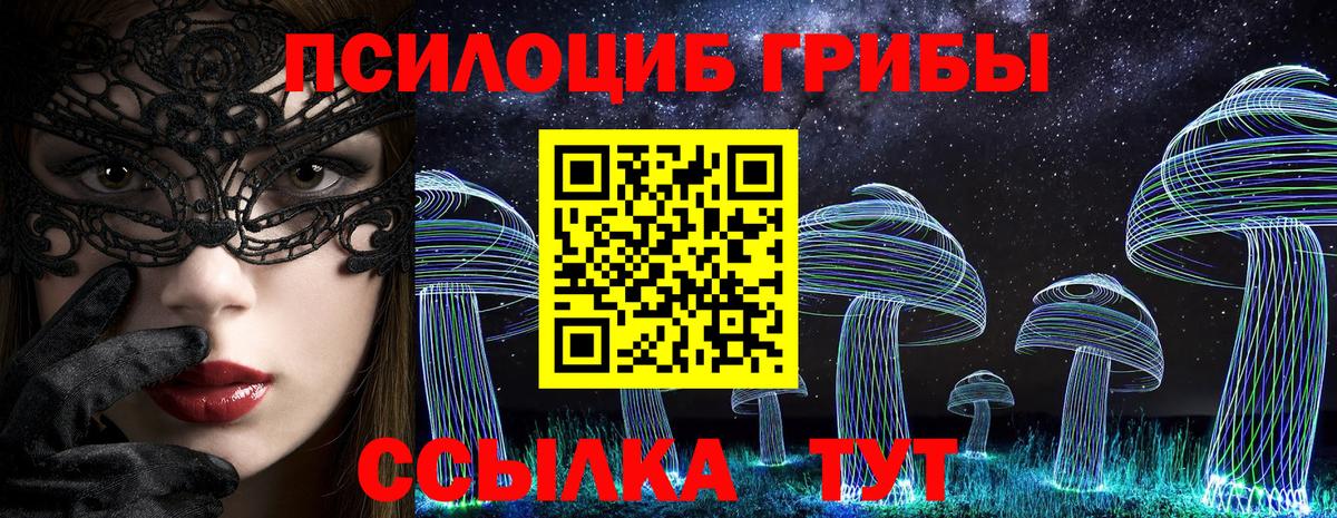 Псилоцибиновые грибы Cubensis Нальчик
