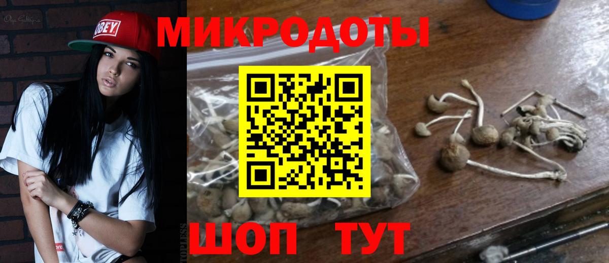 Нальчик  Псилоцибиновые грибы мухоморы  Вход с VPN  Псилоцибиновые грибы Psilocybe 